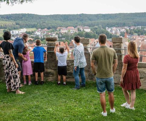 "Von der Burg zur Stadt" - Führung am Rundweg